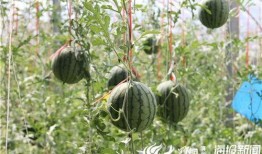 惠民吃瓜视频下载免费,免费下载，畅享视频盛宴