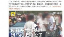 河南网红爆料事件视频播放,视频播放引发热议
