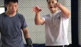 马老师爆料太极拳视频全集,太极拳视频全集深度解析