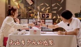 张卫健爆料张茜视频全集,视频全集深度解析